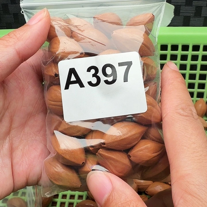 橄榄核手串/手链橄榄