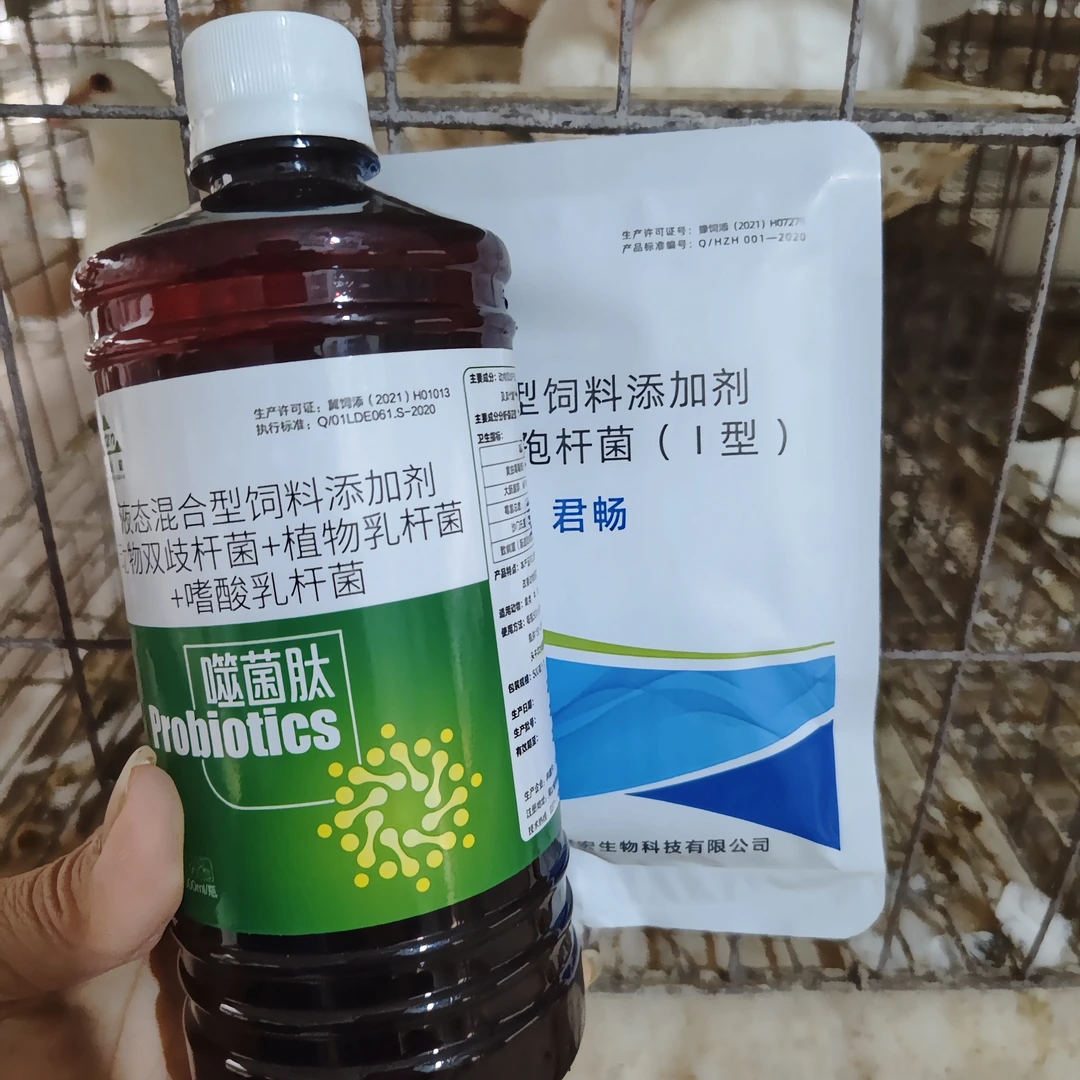 噬菌肽＋君畅，调理肠道净化肠道毒素维生系统室内平衡鸽子鸽子药