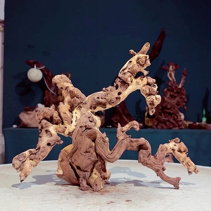 川***刘木958 金丝红木羊蹄甲半成品