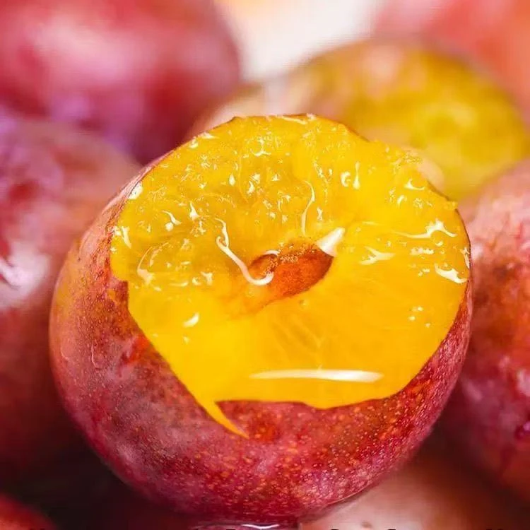 《胖丫》智利进口西梅顺丰发货一箱5斤超甜口感