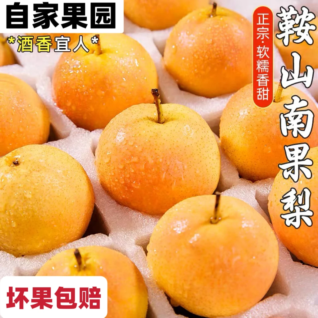 正宗辽宁鞍山南果梨孕妇水果核心产区