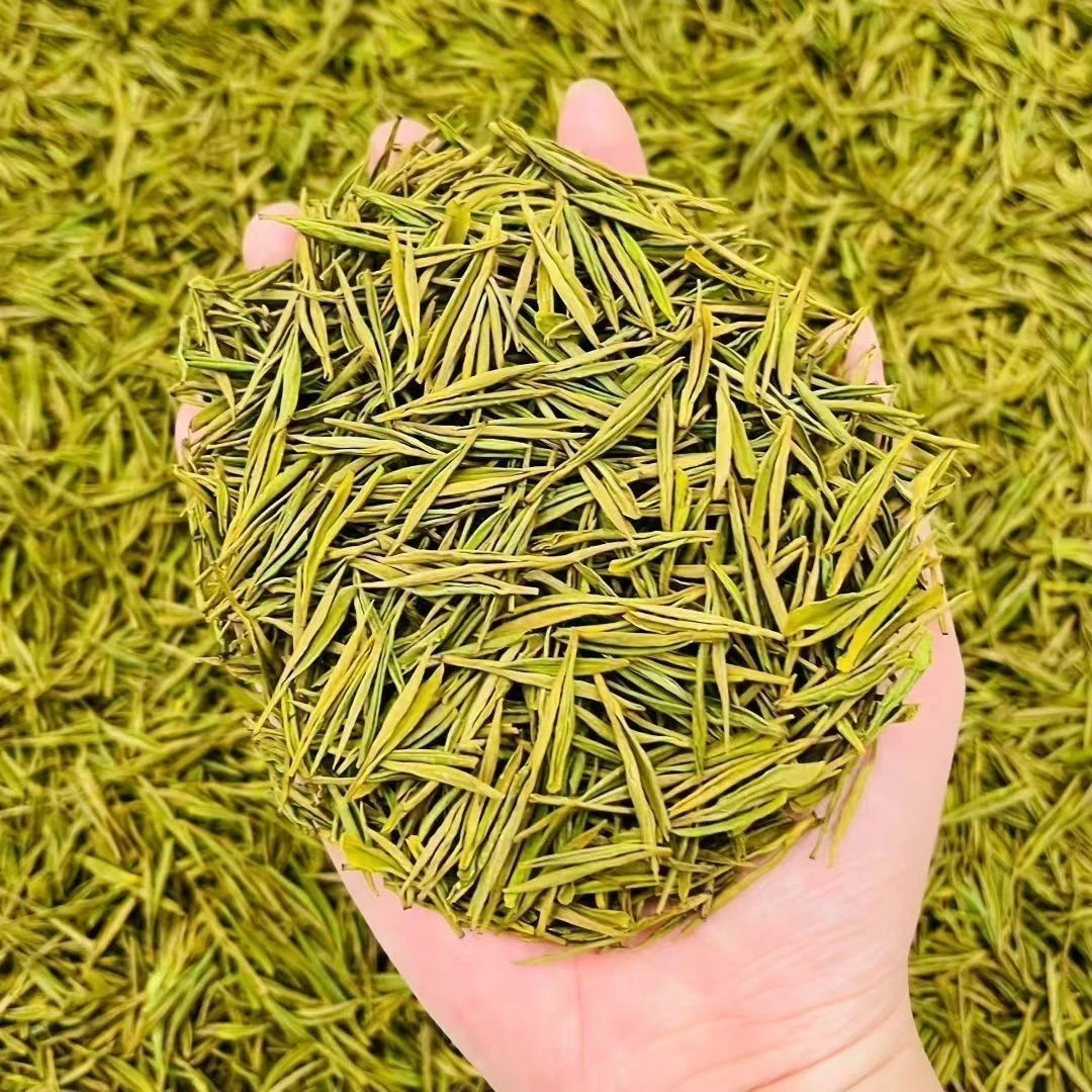 头采芽新茶春茶特级明前兰花香醇香豆香高山绿茶叶品味好茶送礼