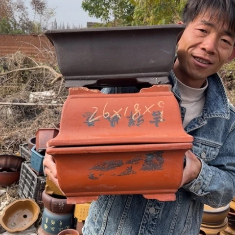 花盆紫砂特价包邮送盒