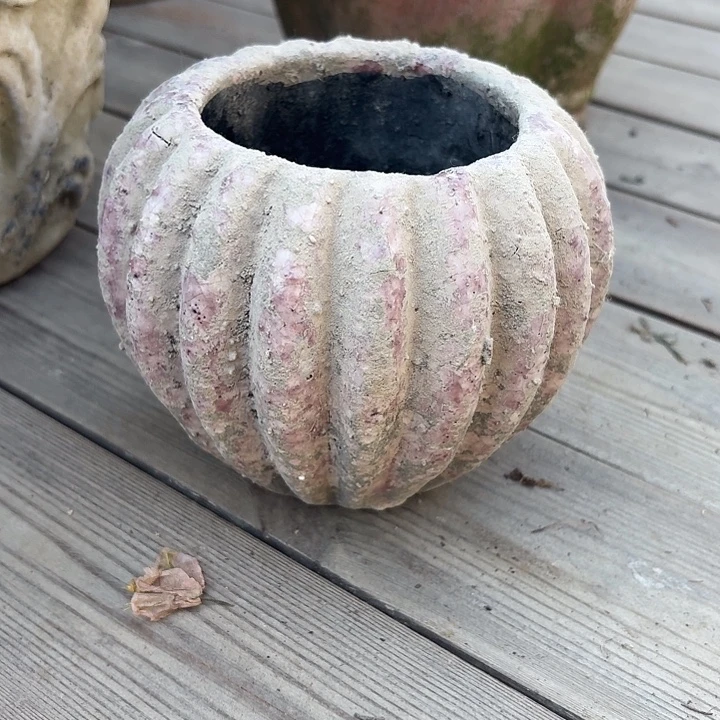 许纯的花房 孤品006