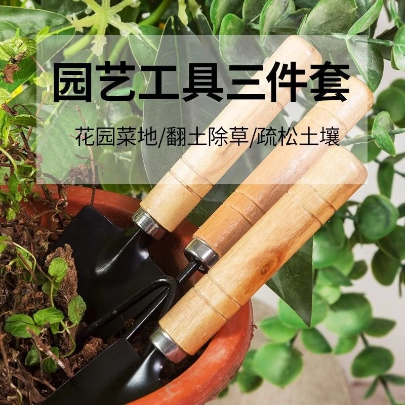 园艺种植工具家用松土小铲子花铲盆栽花艺多肉种植工具三件套种菜