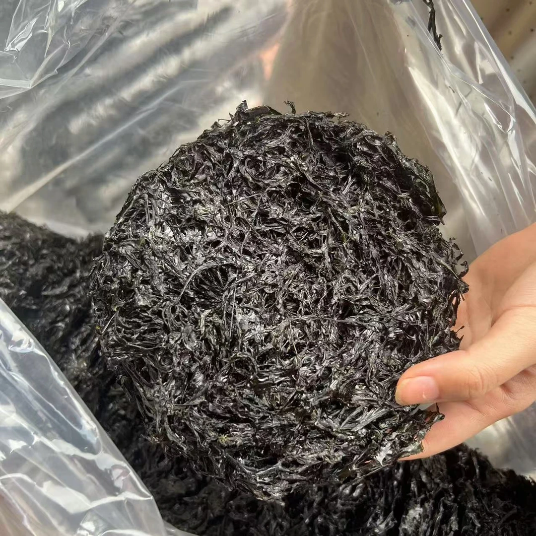 【益娜娜专属】紫菜