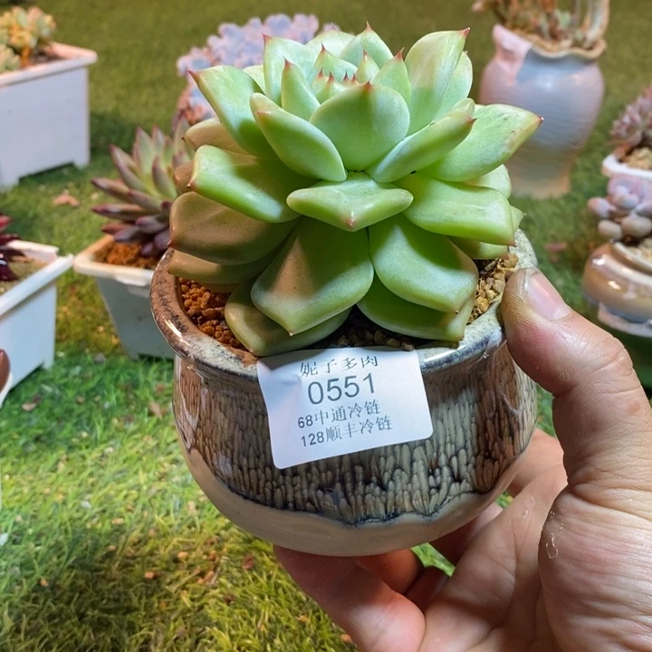 0551啊啊啊啊啊啊啊啊啊啊