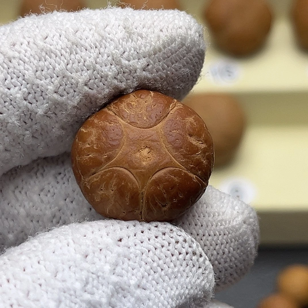 叁***n凤眼菩提吊坠5星打孔不退换