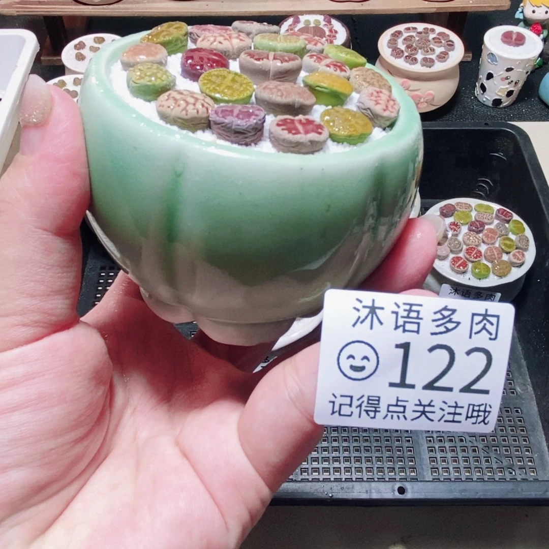 一物一拍 所见即所得122
