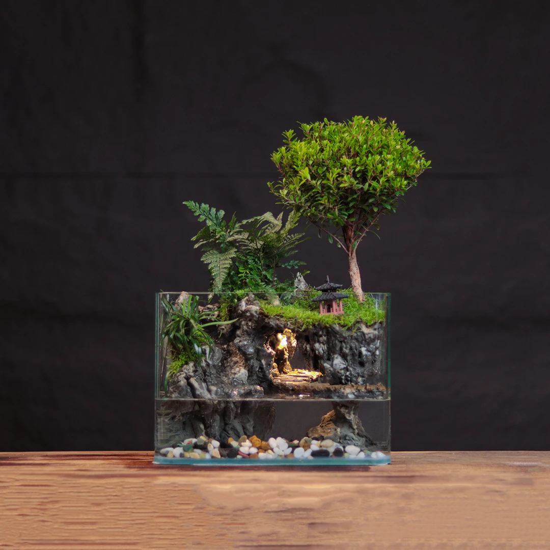 [云端之上]小叶赤楠流水桌面真绿植发光鱼缸室内微景观25**18cm