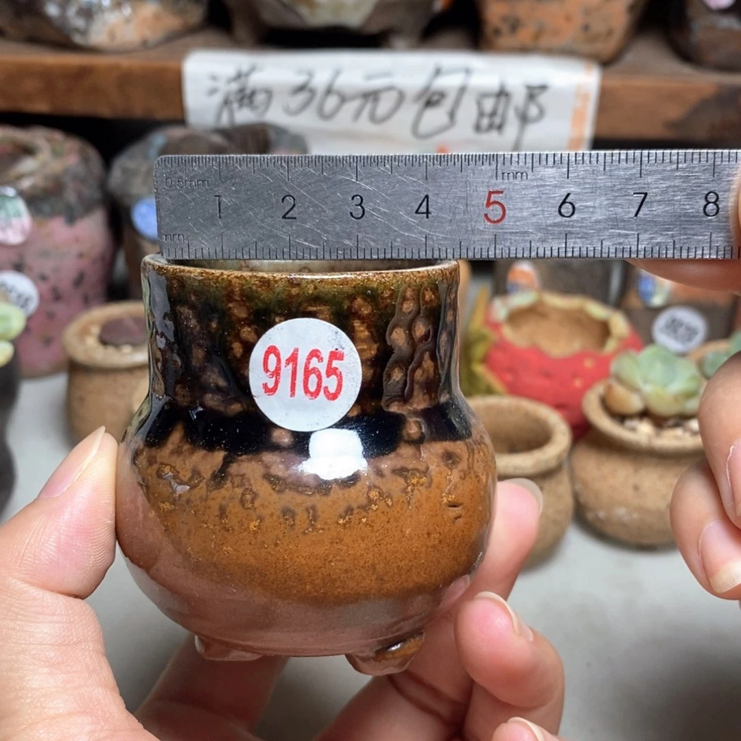拍5送一个小礼物