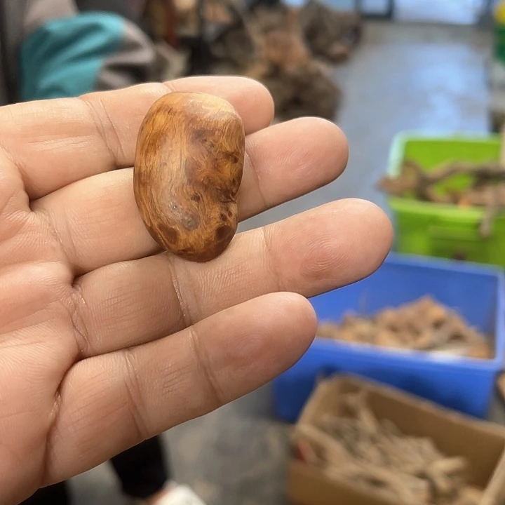 古***者柏木（崖柏）w22222222222