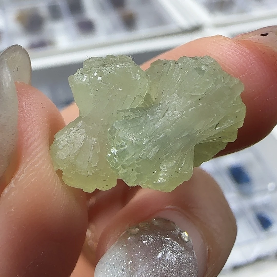 石材摩洛哥蝴蝶结
