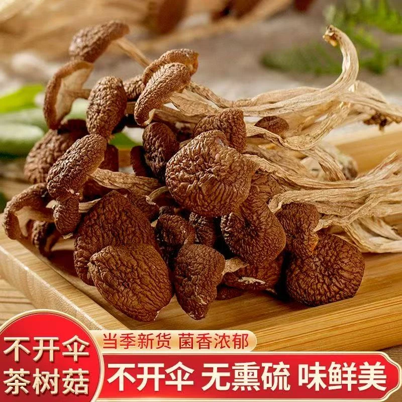 拍1发3茶树菇干货净重古田农家新鲜茶树菇晒干特产新货批发煲汤