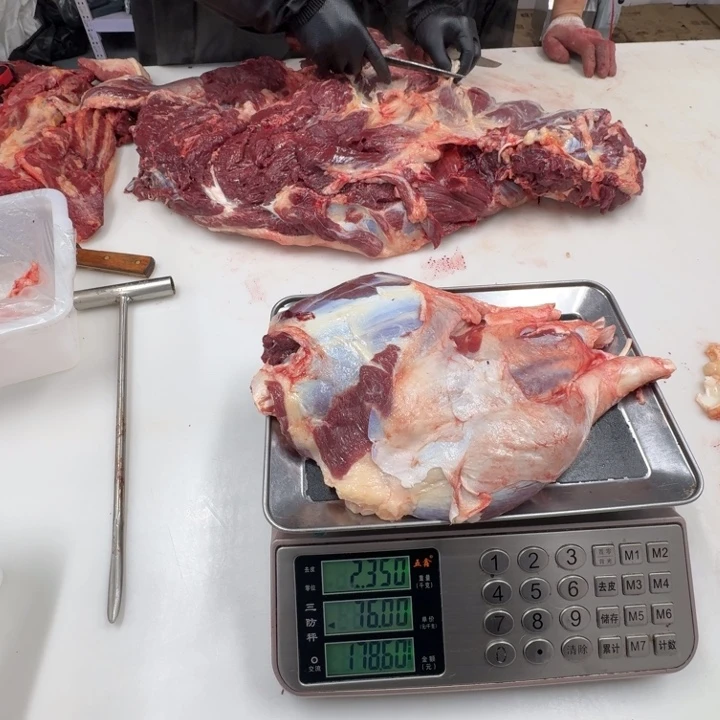 梅***儿12个月中国大陆腱子