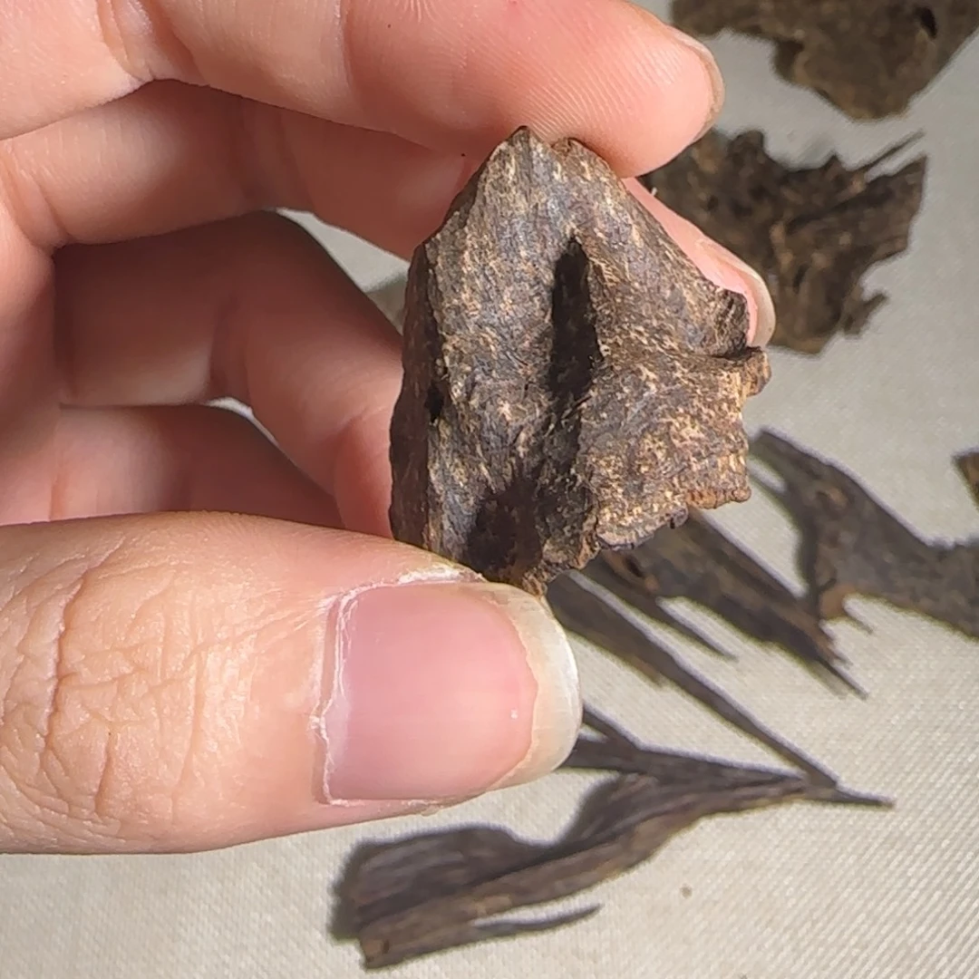 沉香沉香碎屑海南沉香霸王岭沉水包头2克