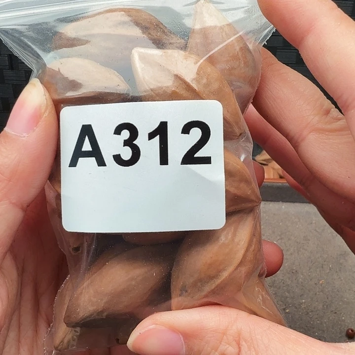 D***K橄榄核手串/手链橄榄