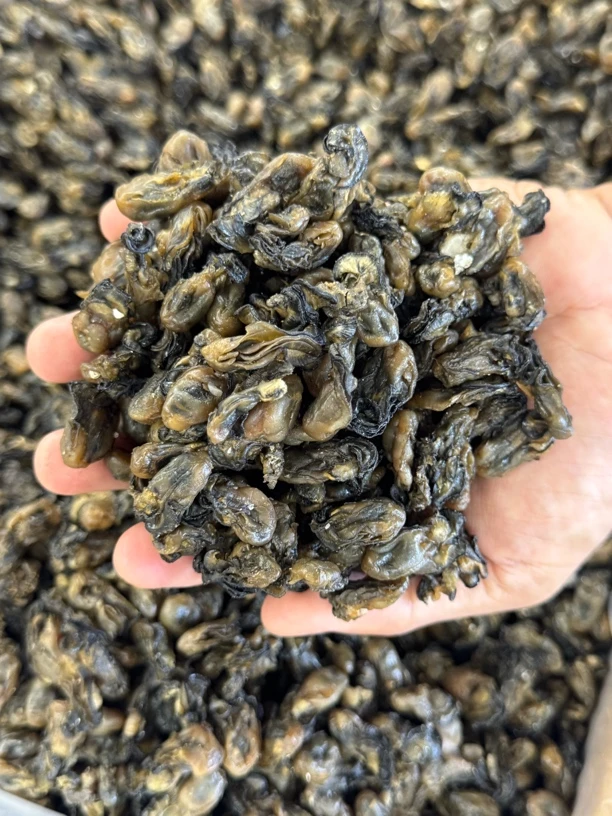 闽南特产小个头石头海蛎干无沙足干