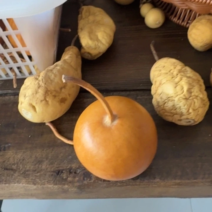 夏***学竹类老皮苹果葫芦