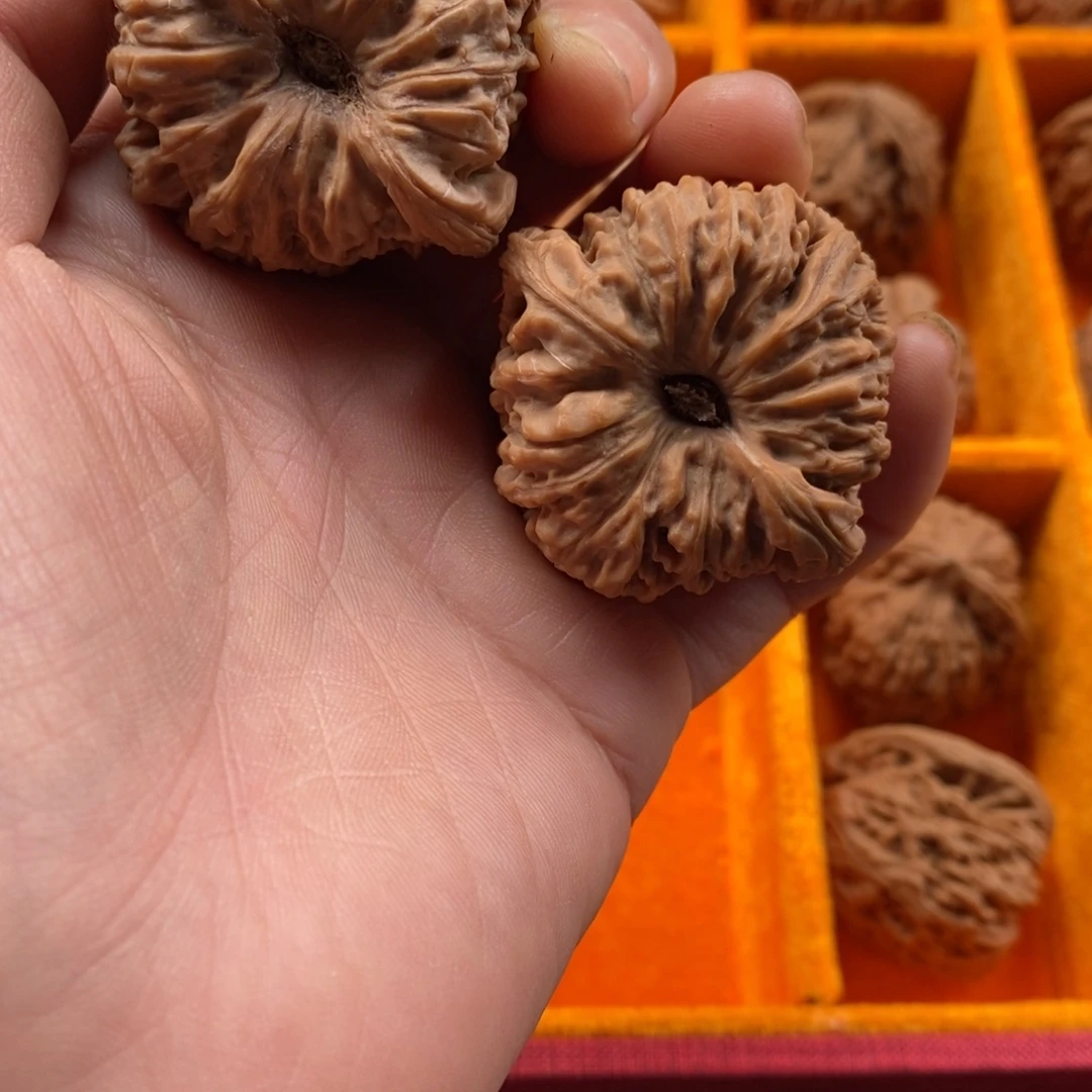 征***程南将石文玩核桃凹底44