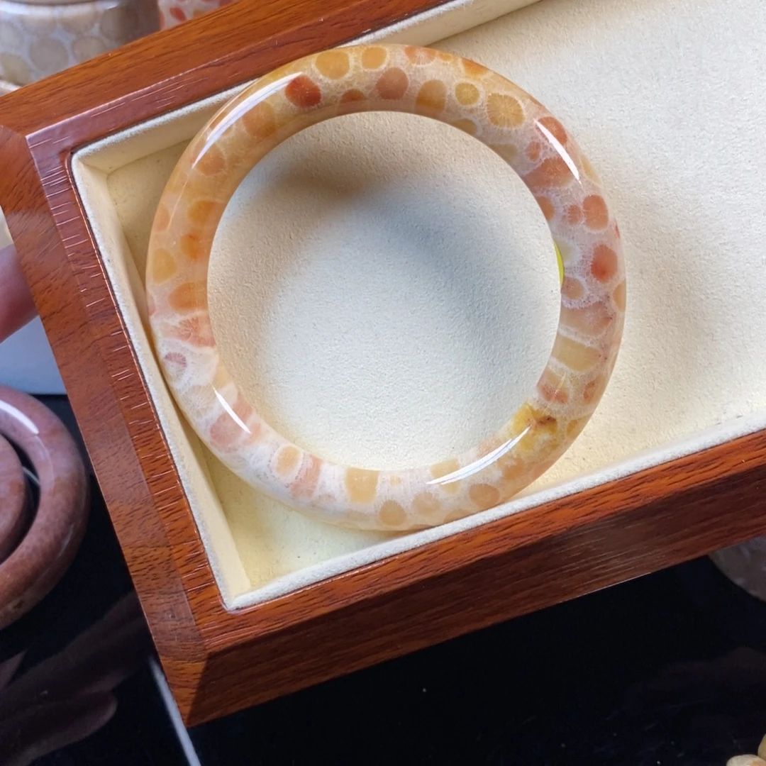 硅化珊瑚（珊瑚玉）未镶嵌手镯57.8口福利300