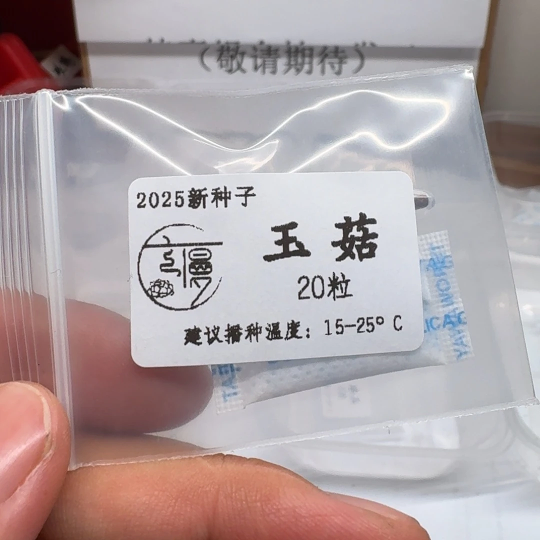 如图2025杂交种子玉菇20粒