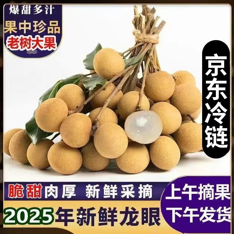 《京东冷链》石硖龙眼新鲜现摘清甜多汁肉厚饱满当季水果