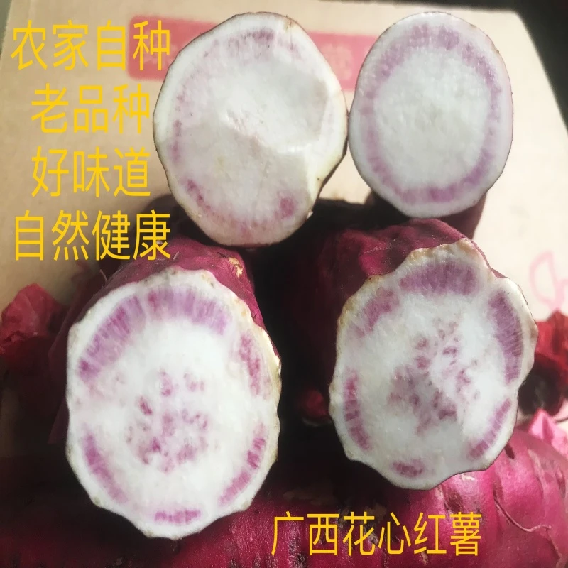 正宗广西花心紫心红薯农家自种粉糯香甜现挖新鲜