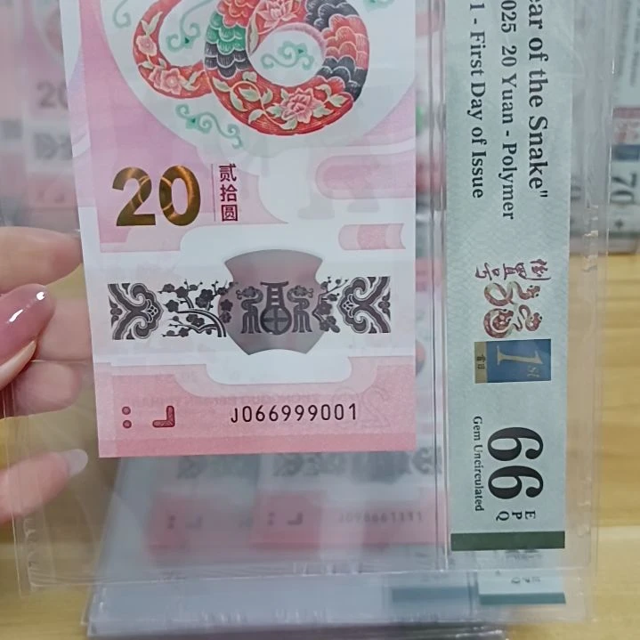 塑料蛇钞如图所示066999001