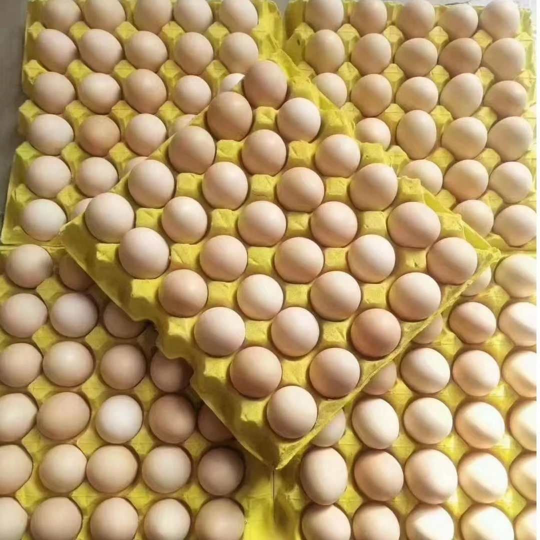 新鲜鸡蛋一板30个 zb