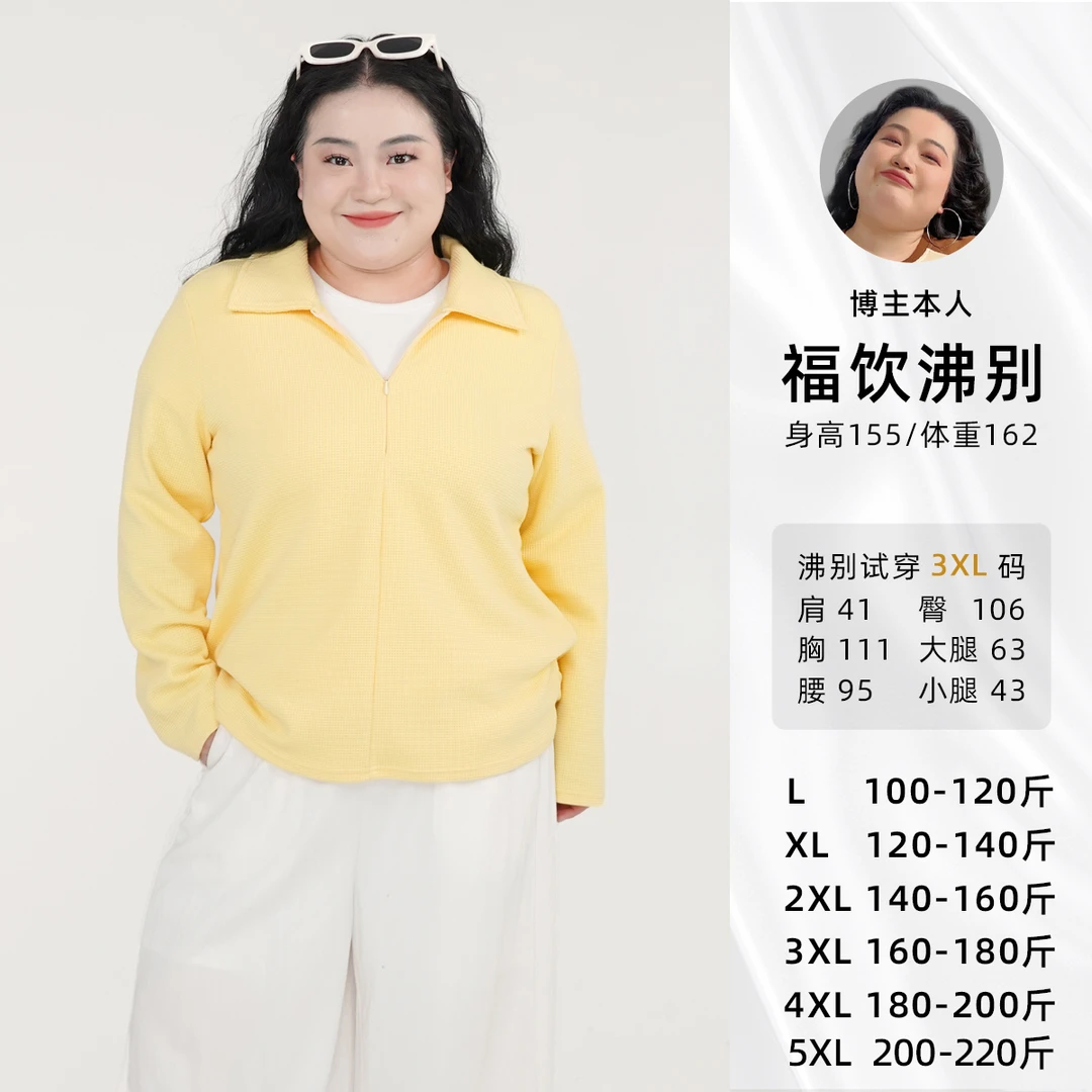 大码胖mm气质polo领早秋百搭显瘦打底衫2048