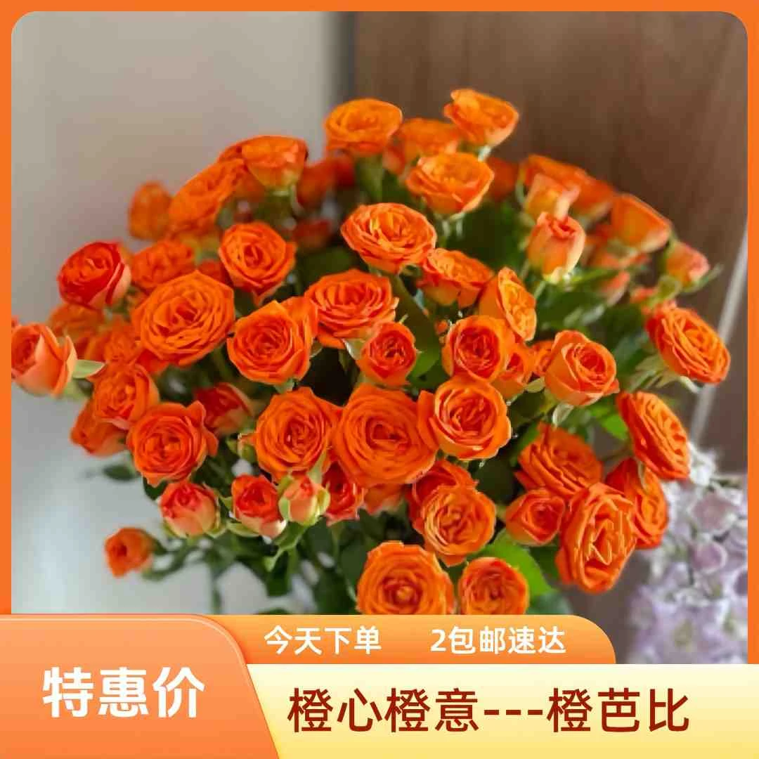 《橙色多头玫瑰5支》今天下单次日达俩单包邮