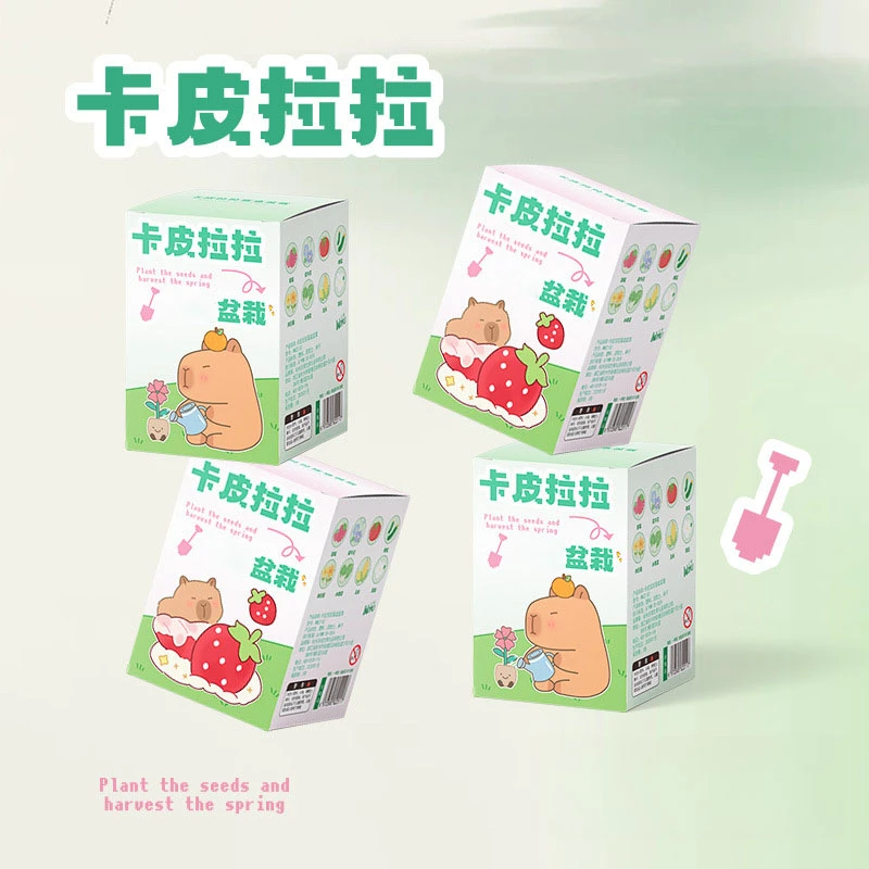 沃姆种植杯创意植物小盆栽幼儿园礼物室内种植花卉种子