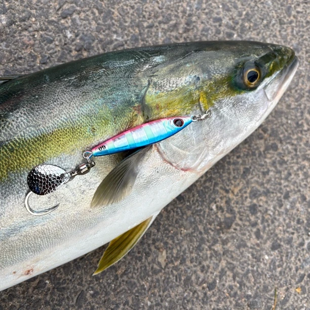 高品质小胖子高反光耐用UV涂层夜光鲅鱼炮弹黄鲣马鲛烟仔