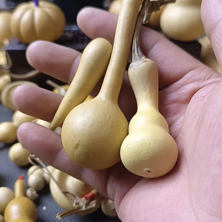 M**黑全品无瑕厚皮八宝葫芦