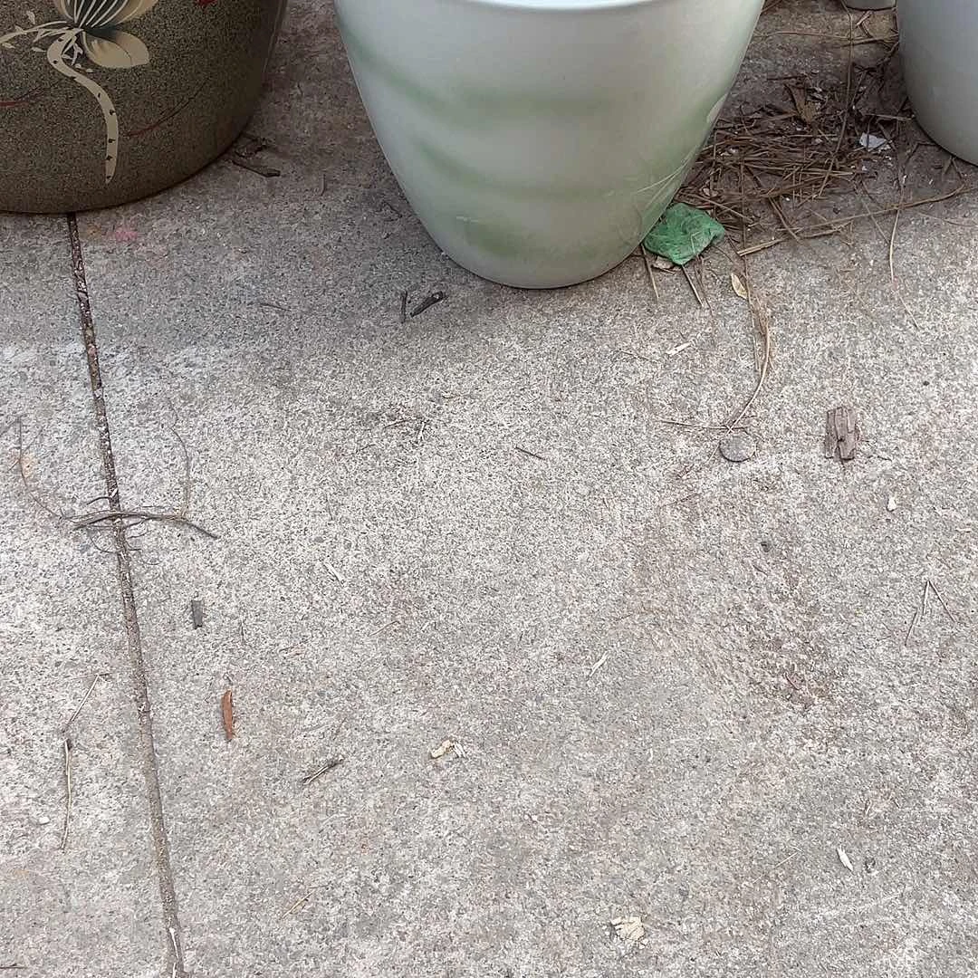 景德镇陶瓷鱼缸景德镇陶瓷鱼缸