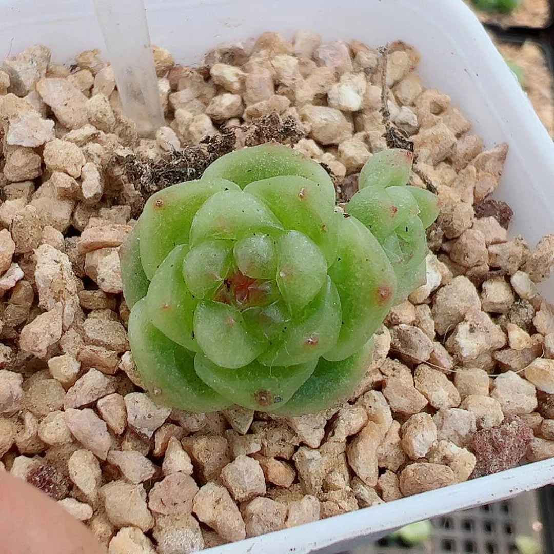 810哈哈哈哈哈哈哈哈
