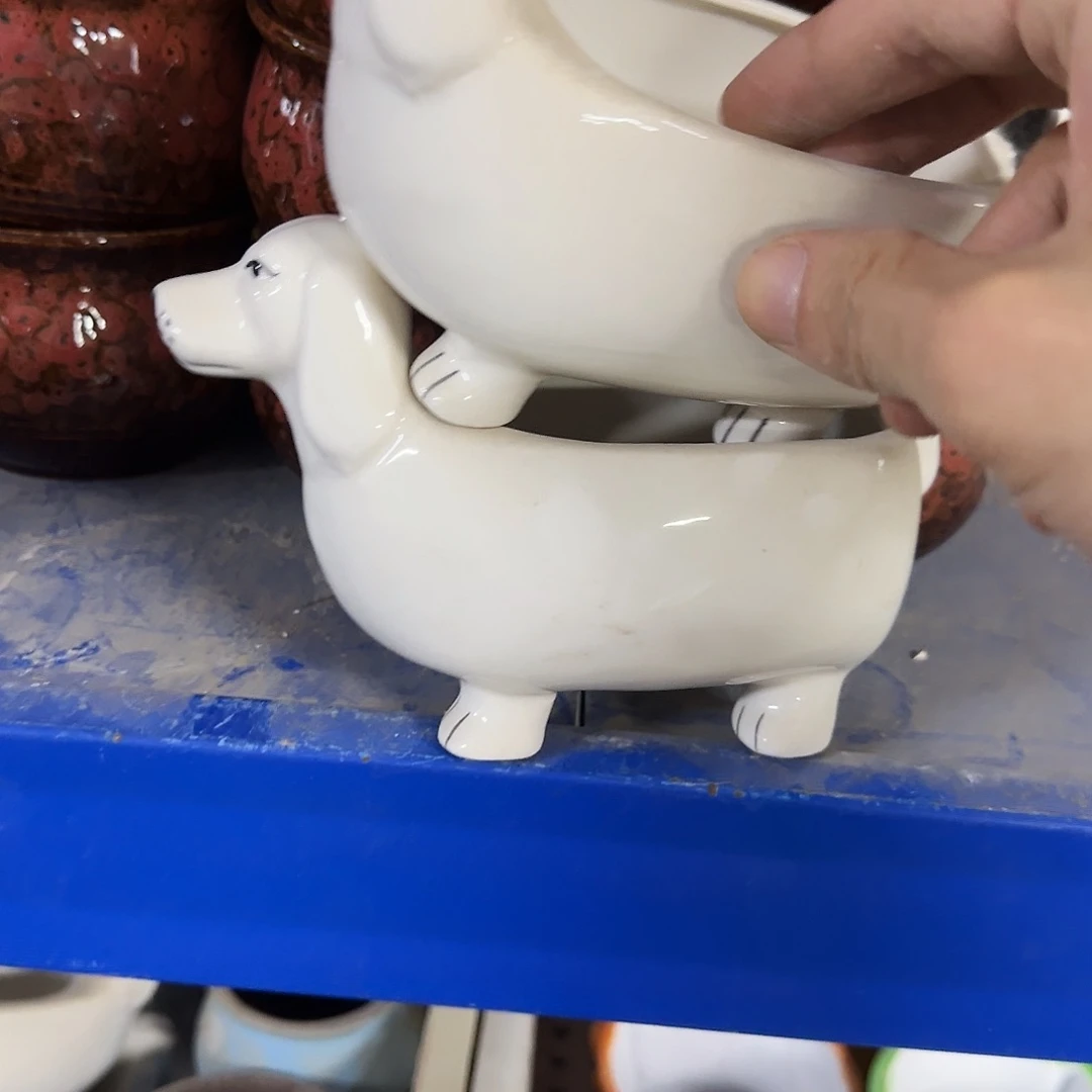 2个福利局［凑9元包邮24小时发］