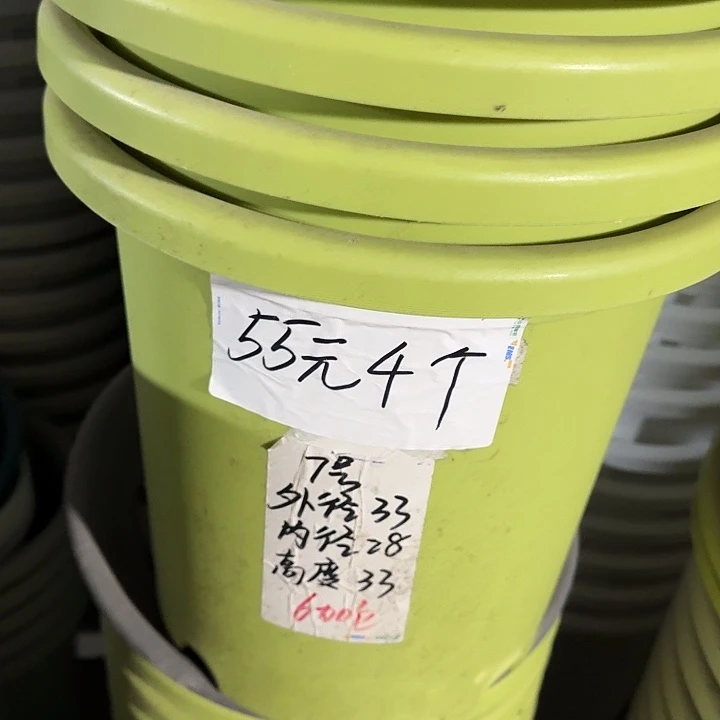 四季7号果绿无托6个特价微瑕