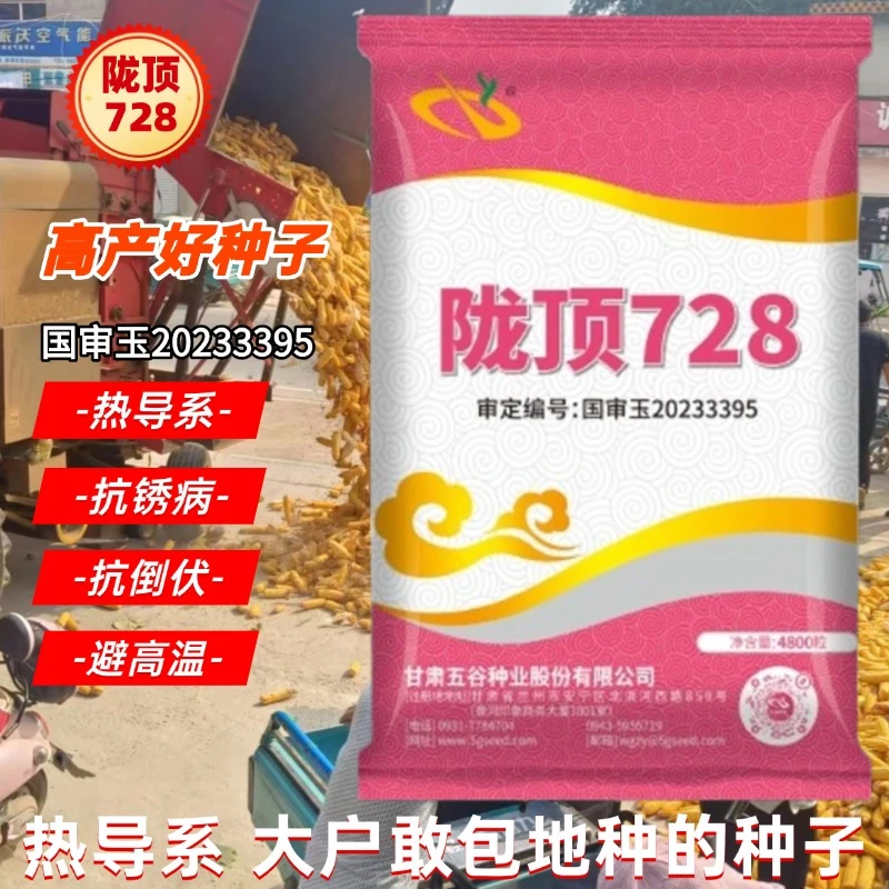 陇顶【抗蜗牛热导系】陇顶728高产抗病种子国审玉抗玉米种子高产