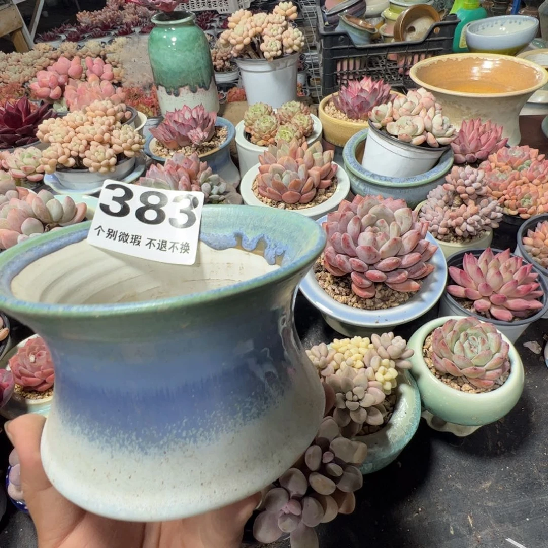 特价花盆满50发货 内口10