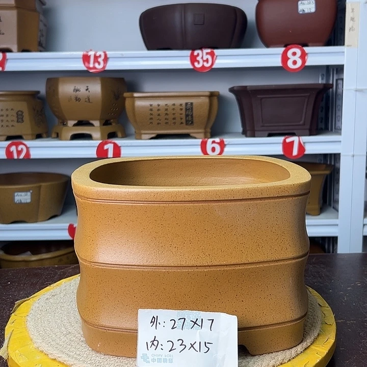 花盆紫砂你在一起