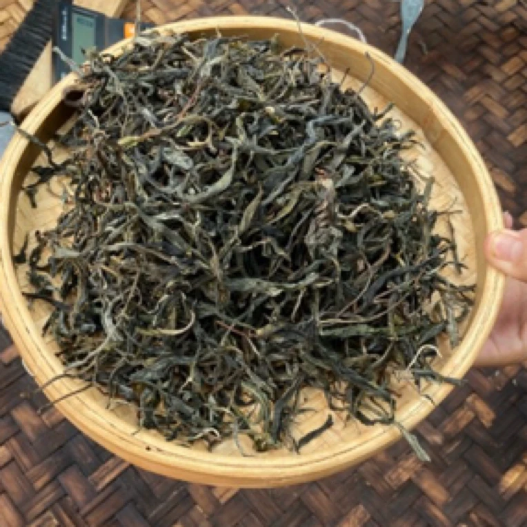 *2025年【冰岛地界46号·大树·春·大份】晒青茶【生散茶】-6月7日【05】