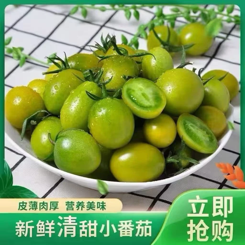 寿光青甜绿圣女果小柿子现摘薄皮绿色小番茄水果