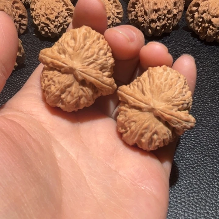 文玩核桃把件白狮子36尺肚差一个