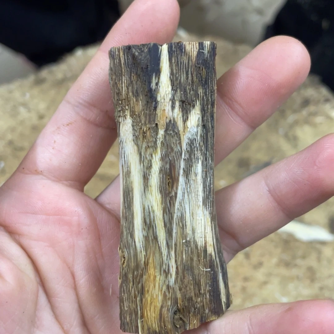 沉香沉香碎屑奇楠沉香文创1