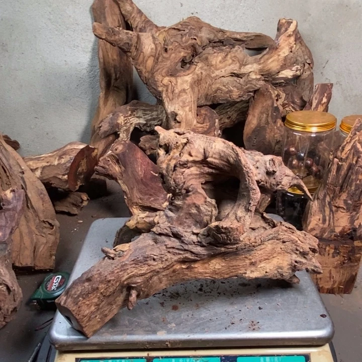 黄花梨/降香黄檀男***洋