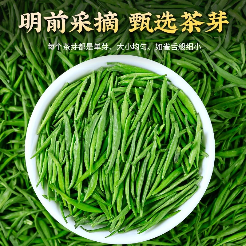 春茶2025绿茶叶正宗明前雀舌新茶嫩芽商用送礼栗香型高级茶叶