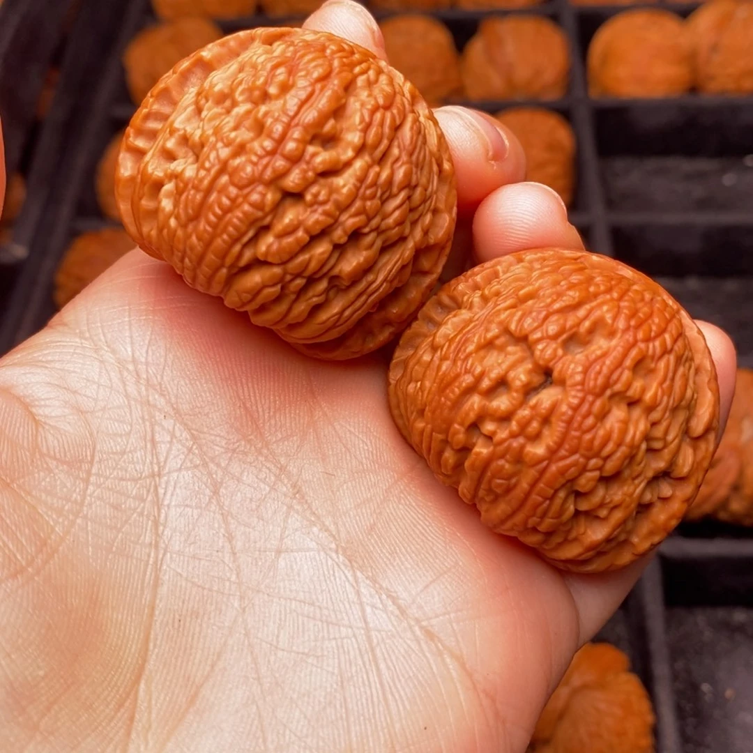 文玩核桃把件秦岭野生核桃