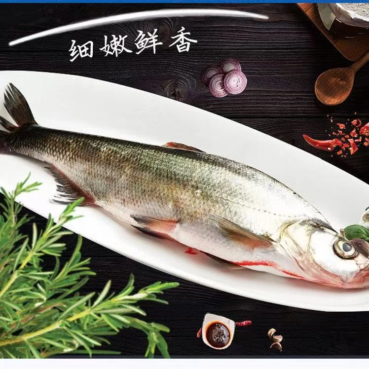 东北冷水翘嘴岛子大白鱼（6斤5条装)
